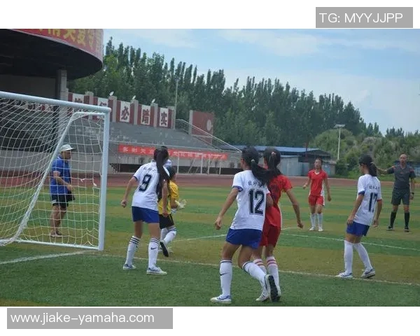 聚焦绿茵巨星正面形象展现激情与力量并肩闪耀球场风采 聚焦绿茵巨星正面形象展现激情与力量并肩闪耀球场风采